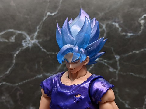 SUPER SAIYAN GOD SUPER SAIYAN SON GOKU KAIO-KEN 19