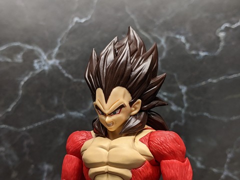 SUPER SAIYAN 4 VEGETA 12