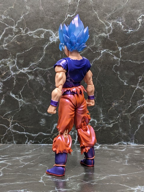 SUPER SAIYAN GOD SUPER SAIYAN SON GOKU KAIO-KEN 12