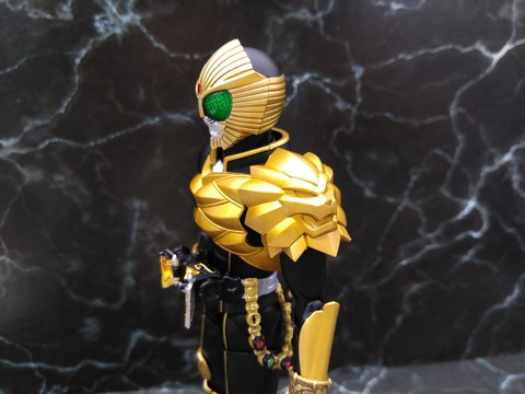 KAMEN RIDER BEAST 17