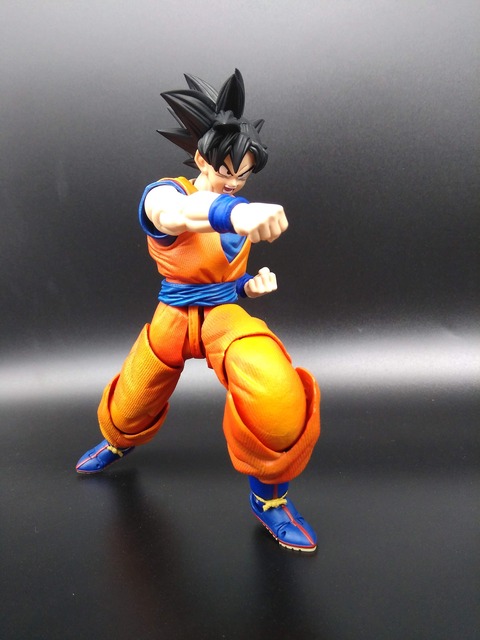 SON GOKU 34