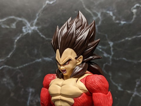 SUPER SAIYAN 4 VEGETA 13