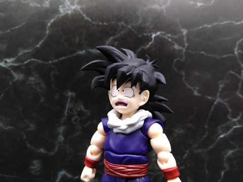 SON GOHAN -KID ERA- 19