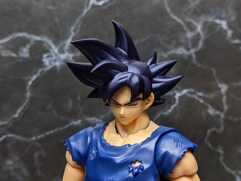 SON GOKU ULTRA INSTINCT _SIGN_ 15