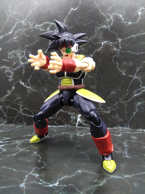 BARDOCK 24