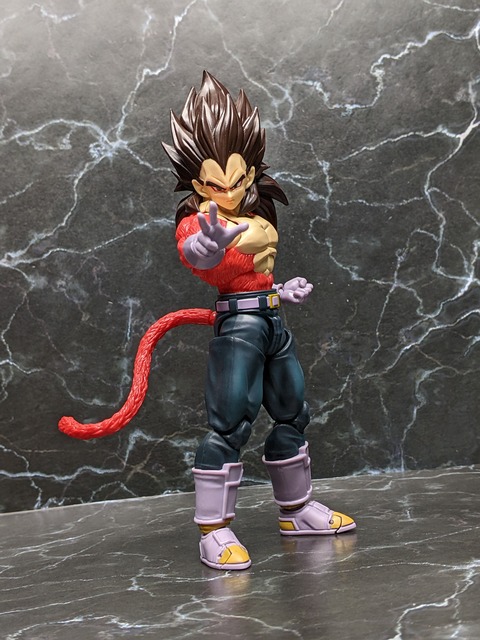 SUPER SAIYAN 4 VEGETA 14