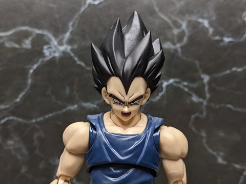 VEGETA SUPER HERO 12