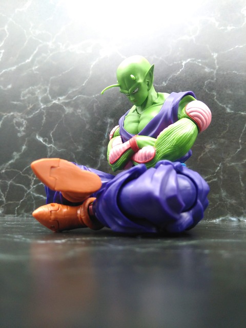 PICCOLO -THE PROUD NAMEKIAN- 30