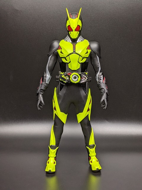 RAH-785 KAMEN RIDER ZERO-ONE RISING HOPPER 12