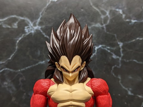 SUPER SAIYAN 4 VEGETA 10