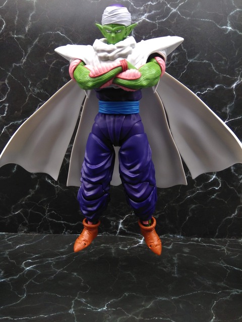 PICCOLO -THE PROUD NAMEKIAN- 23