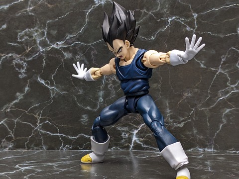 VEGETA SUPER HERO 27