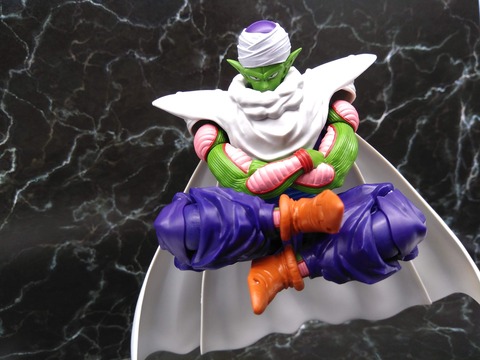 PICCOLO -THE PROUD NAMEKIAN- 25