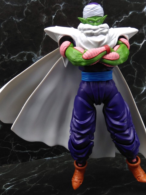 PICCOLO -THE PROUD NAMEKIAN- 21