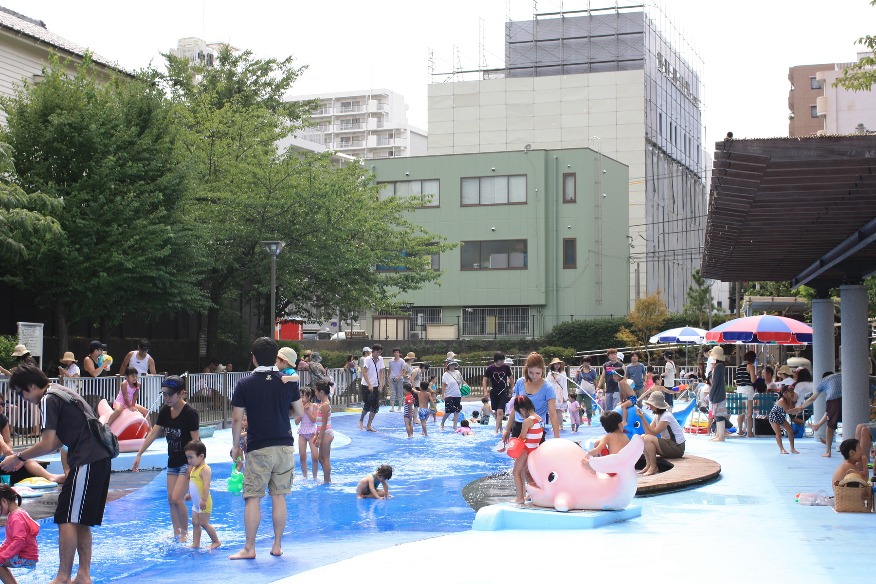 木場親水公園じゃぶじゃぶ池 ２０１３ その１ : あやとひかる
