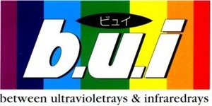 bui-logo