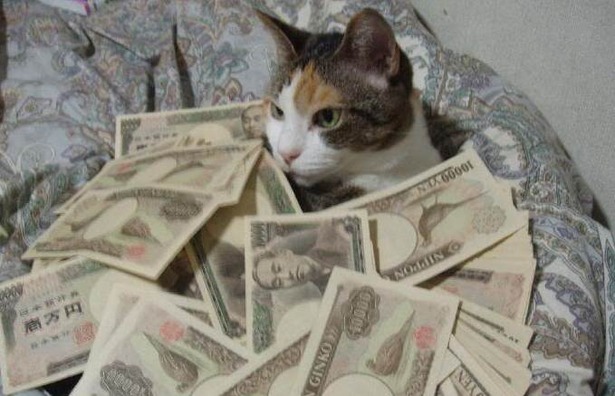 MoneyCat