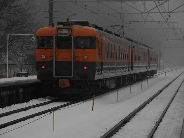 乗車＆撮影】しなの鉄道169系湘南色・183・189系N101編成、115系なつ