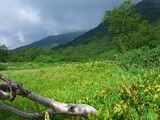 栂池自然園