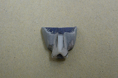 P1120536