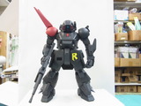 RIMG0250