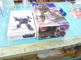 RIMG0281