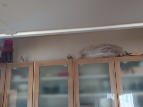 IMG_20240314_112654054