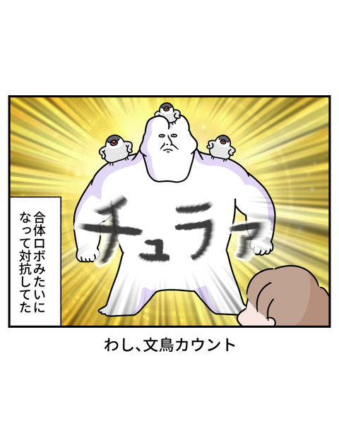 俺たち5