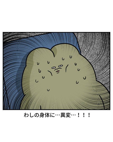 富士山4-10