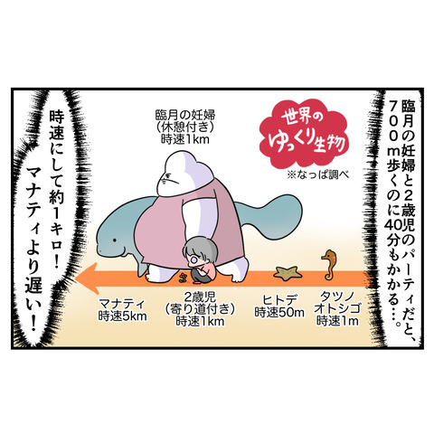 第二子3-6