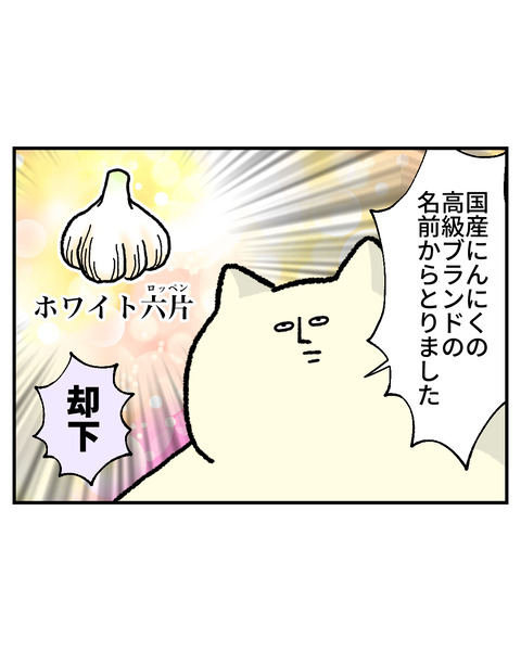 ネーミングセンス5