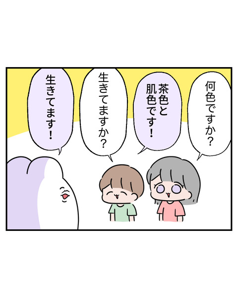 クイズ4