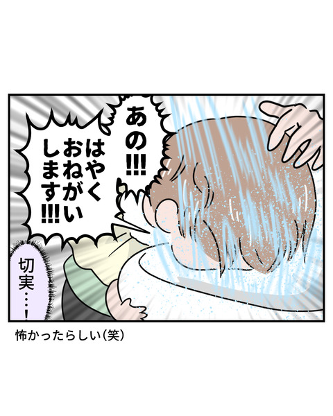 マダム5