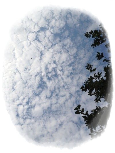 秋の空の雲_400