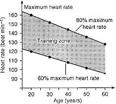 max heart rate