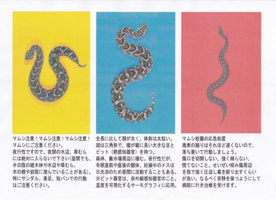 よもやま話 蛇に注意 蛇も注意 当尾 とうの からの風の便り