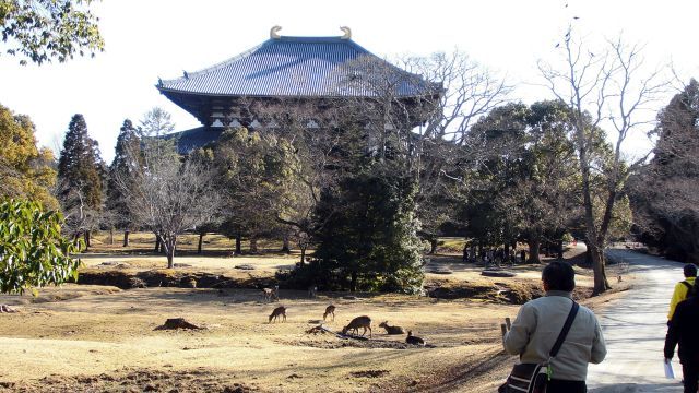 toudaiji17