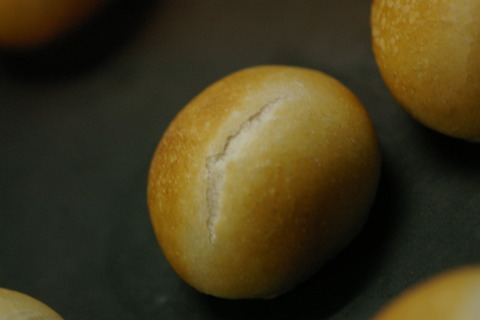 IMGP3449