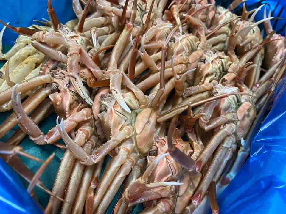 福島のズワイガニは今が旬 ｈａｇｉフランス料理店 ブログ