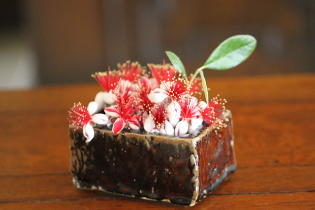 フェイジョアの花 hagiフランス料理店 ブログ フェイジョアの花 hagiフランス料理店 ブログ