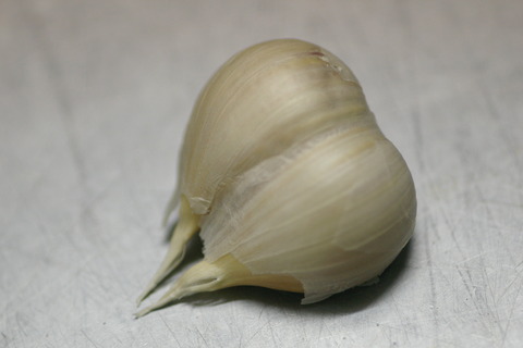 IMGP4421