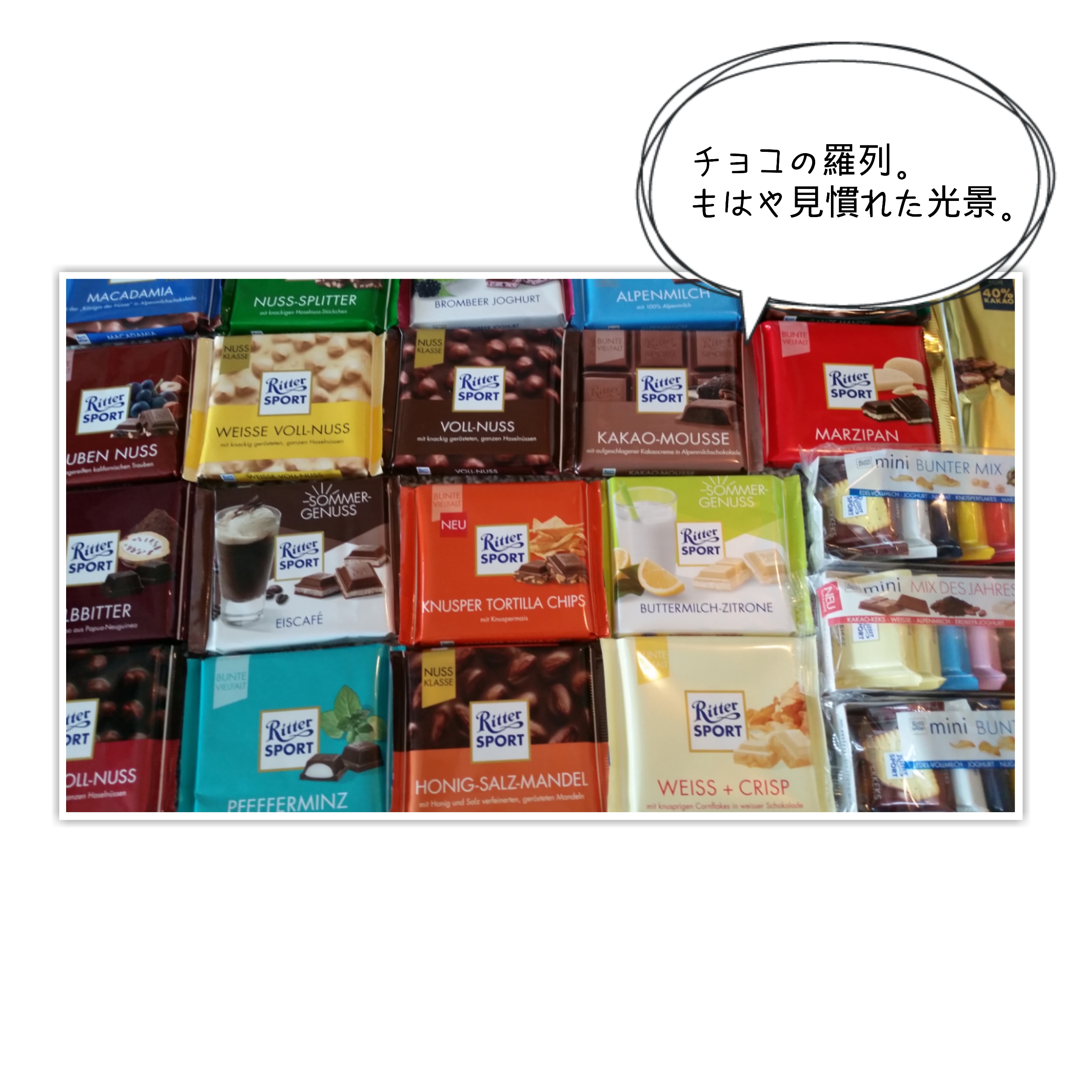 さぺのドイツ ハノーバー土産 なかめのr子 シアトルで駐妻になる さぺのドイツ ハノーバー土産 なかめのr子 シアトルで駐妻になる