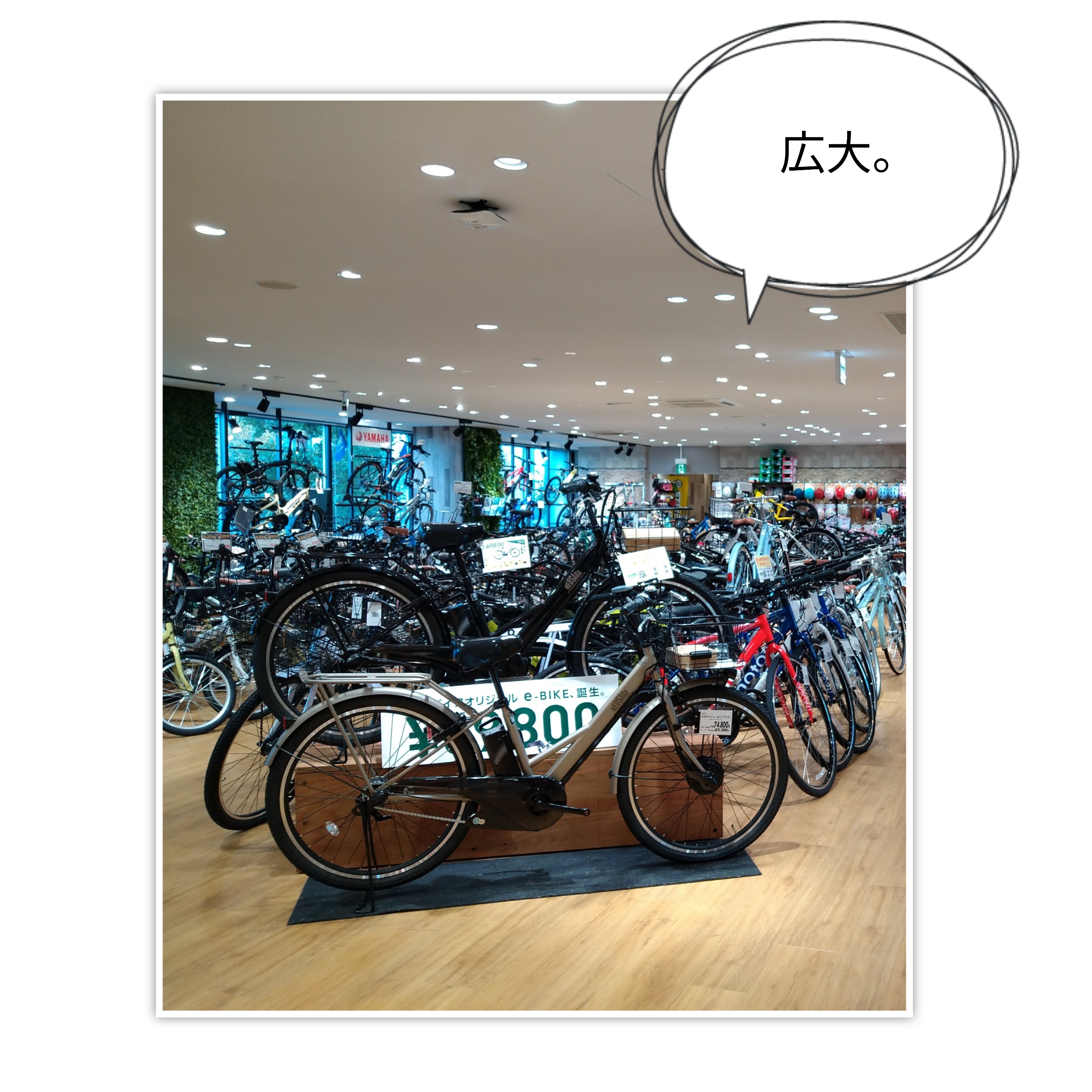 イオン 碑文谷 自転車