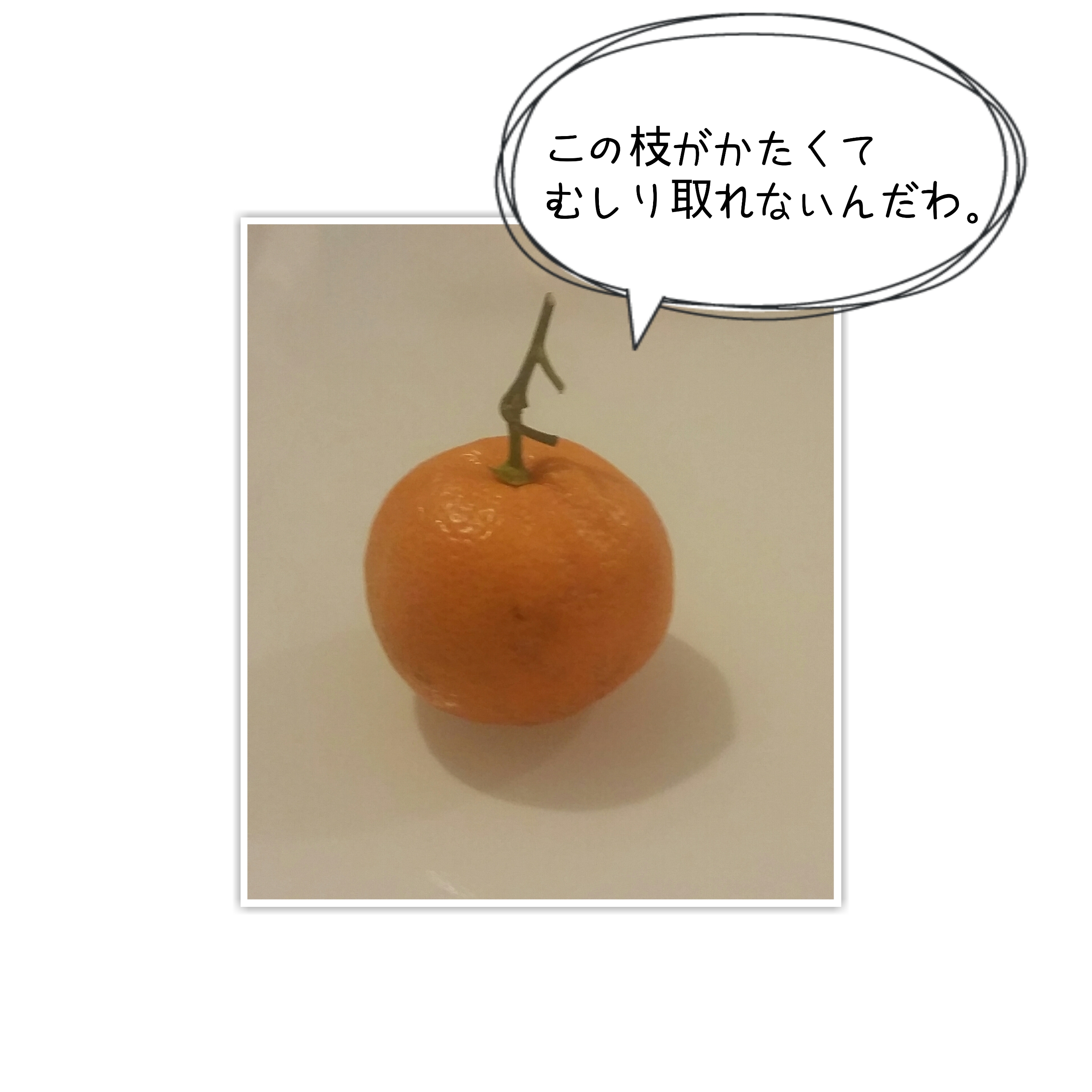 みかんの葉っぱ問題 なかめのr子 シアトルで駐妻になる みかんの葉っぱ問題 なかめのr子 シアトルで駐妻になる
