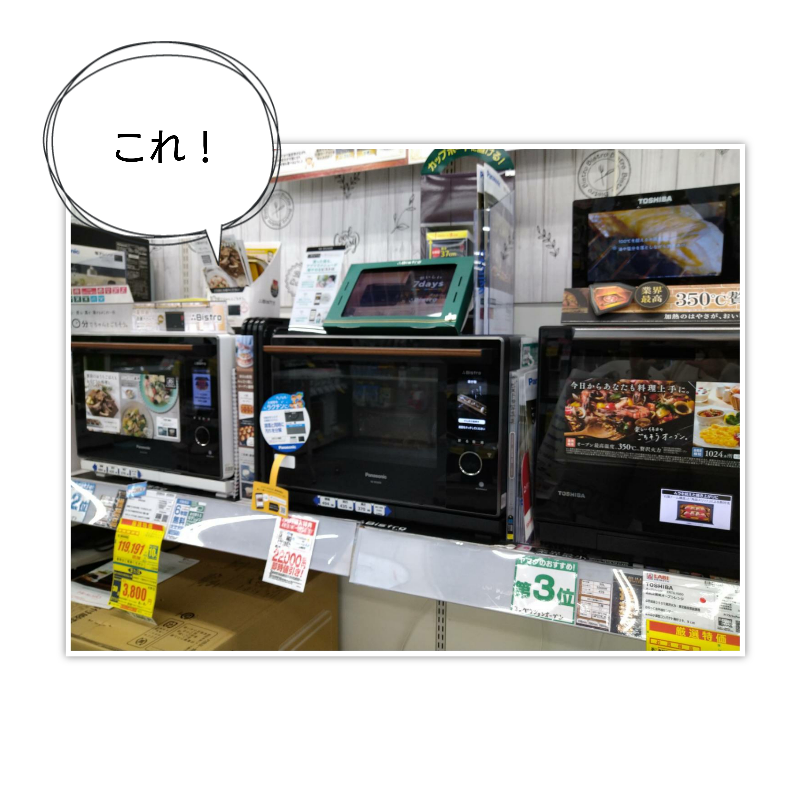 パナソニック BISTRO スチームオーブンレンジ NE-BS2600 : なかめのR子