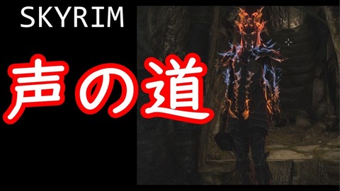 Skyrim さくりふぃーるど