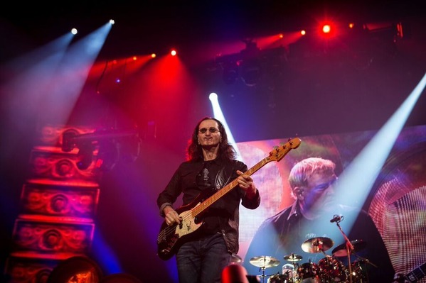 geddylee