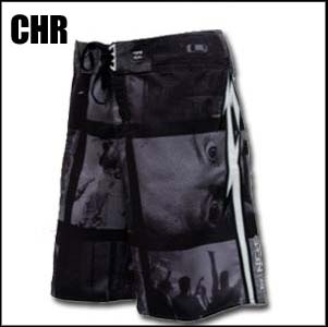 2009��ǥ�ʥ��㥳�������