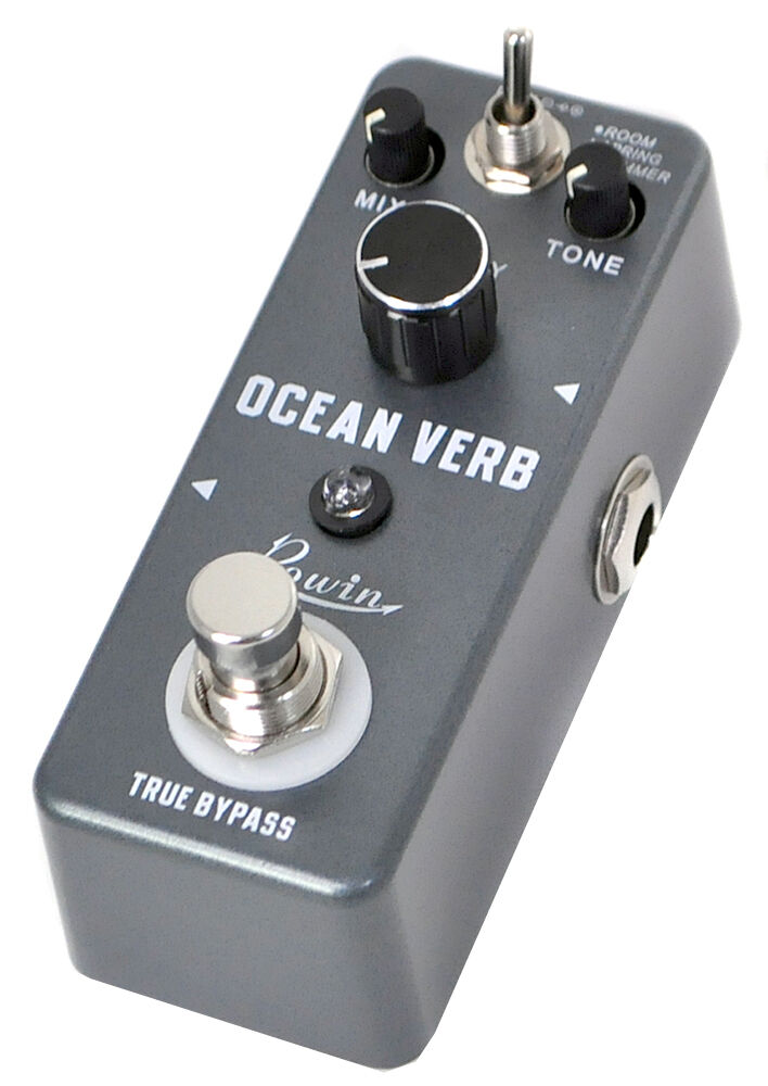 その他のエフェクター Rowin Oceanverb（使用中） : Be-m.R 天邪鬼