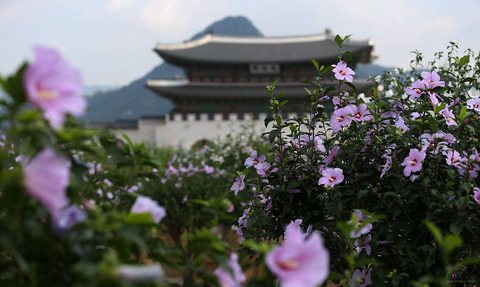 무궁화와경복궁